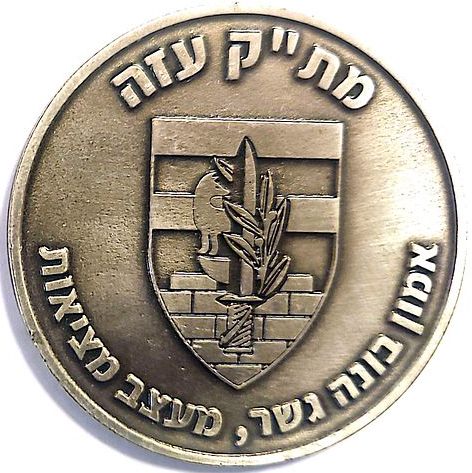 Iron Swords War Medal