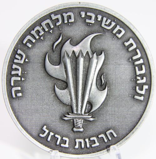 Iron Swords War Medal