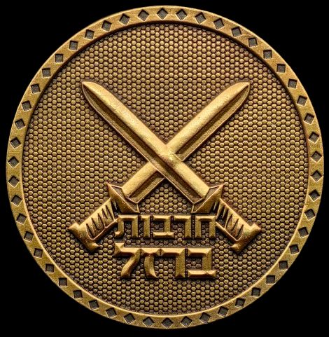 Iron Swords War Medal