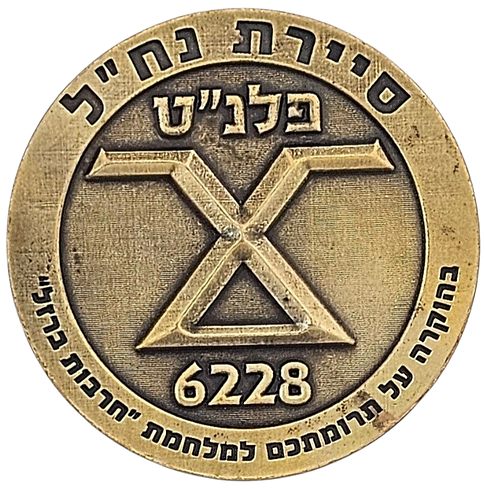 Iron Swords War Medal