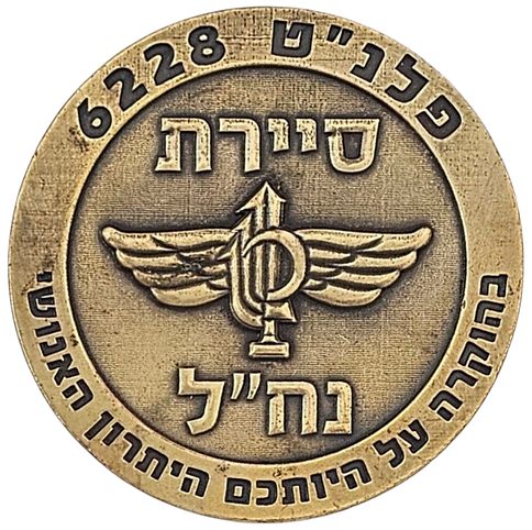 Iron Swords War Medal