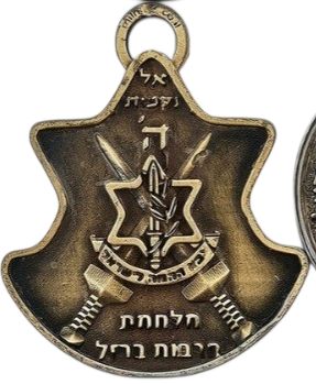 Iron Swords War Medal