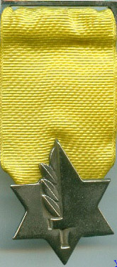 Medal of Valor