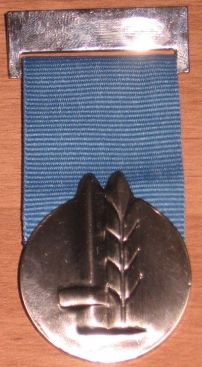 Medal of Distinguished Service front version 2012