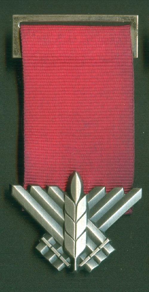 Medal of Courage