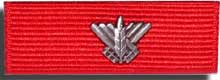 Ribbon of the Medal of Courage, twice awarded
