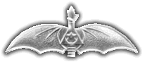 Israel IDF Air Force Badge