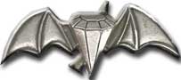 Israel IDF Air Force Badge