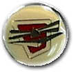 Israel IDF Air Force Badge