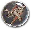 Israel IDF Air Force Badge