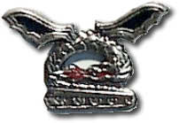 Israel IDF Air Force Badge