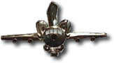 Israel IDF Air Force Badge