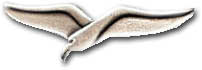 Israel IDF Air Force Badge