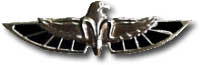 Israel IDF Air Force Badge