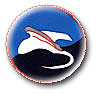 Israel IDF Air Force Badge