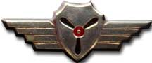 Israel IDF Air Force Badge