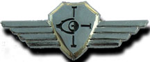 Israel IDF Air Force Badge