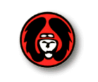 Israel IDF Air Force Badge