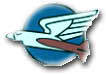 Israel IDF Air Force Badge