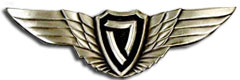 Israel IDF Air Force Badge