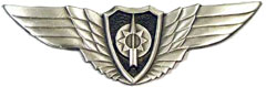 Israel IDF Air Force Badge