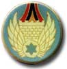 Israel IDF Air Force Badge