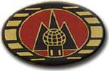 Israel IDF Air Force Badge