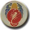 Israel IDF Air Force Badge