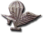 Israel IDF Air Force Badge