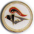 Israel IDF Air Force Badge