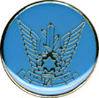 Israel IDF Air Force Badge