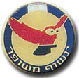 Israel IDF Air Force Badge