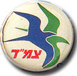 Israel IDF Air Force Badge