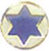 Israel IDF Air Force Badge