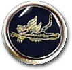 Israel IDF Air Force Badge