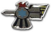Israel IDF Air Force Badge