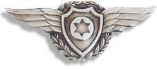 Israel IDF Air Force Badge