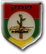 IDF Armored Corps Badge