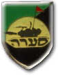 IDF Armored Corps Badge