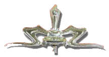 IDF Armored Corps Badge
