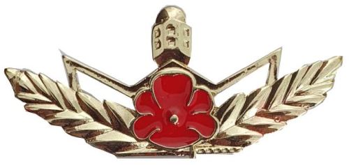 Israel Border Guard Badge