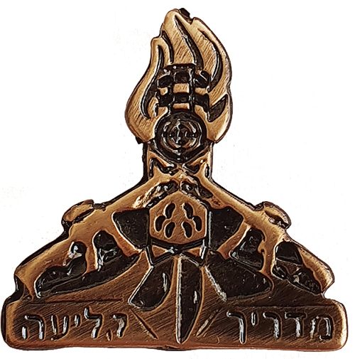 Israel Border Guard Badge
