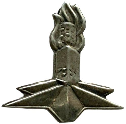 Israel Border Guard Badge