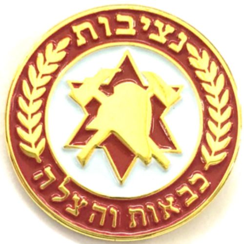 Israel Fire and Rescue Service badge