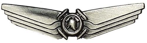 Israel Fire and Rescue Service badge