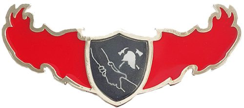 Israel Fire and Rescue Service badge