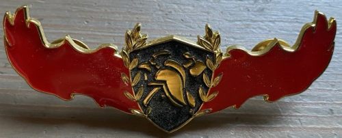 Israel Fire and Rescue Service badge