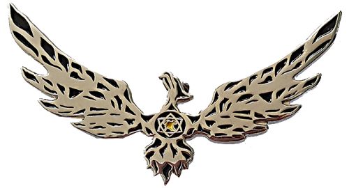 Israel Fire and Rescue Service badge