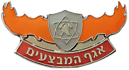 Israel Fire and Rescue Service badge
