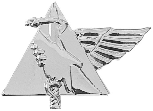 Israel Fire and Rescue Service badge